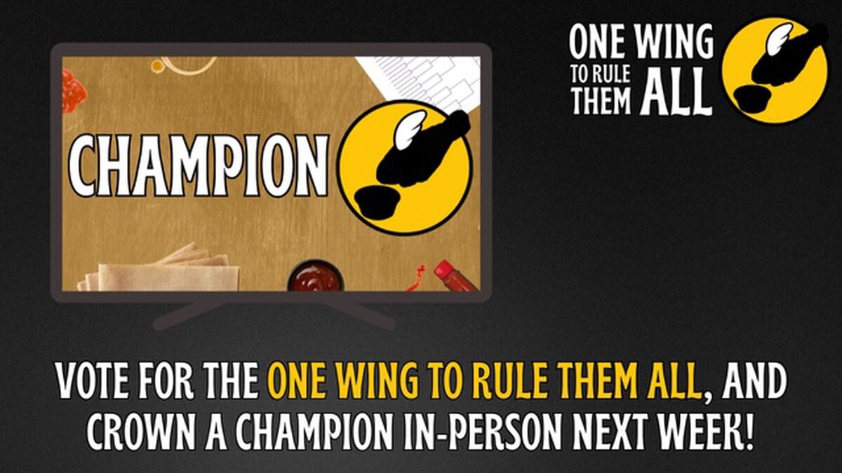 One Wing to Rule Them All image number null